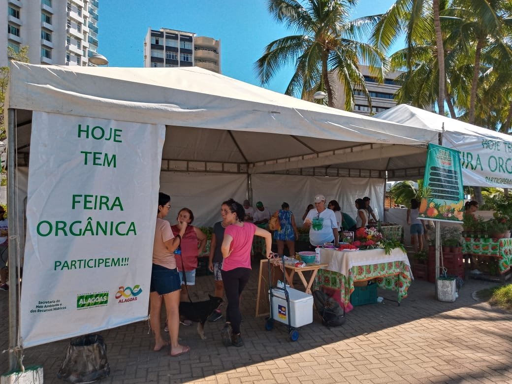Feira de produtos orgânicos de assentamentos atrai consumidores na Ponta Verde