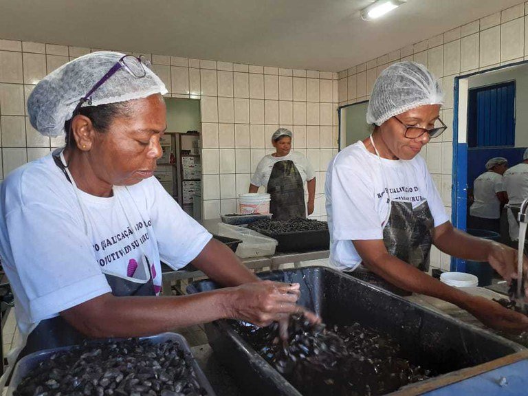Cooperativa de marisqueiras