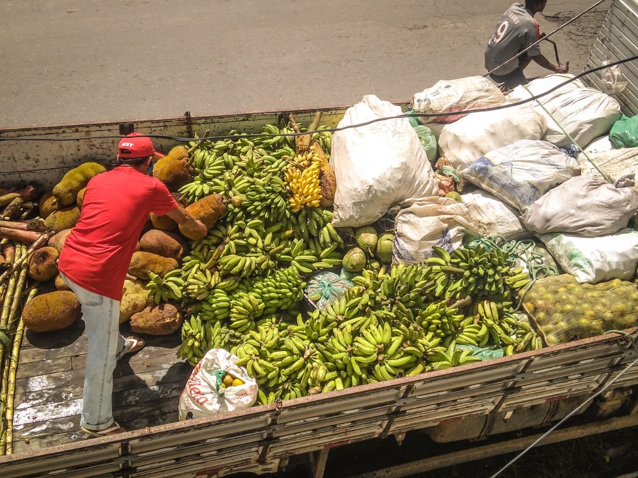 Sem-terra doam 12 toneladas de alimentos em Maceió e Santana do Ipanema