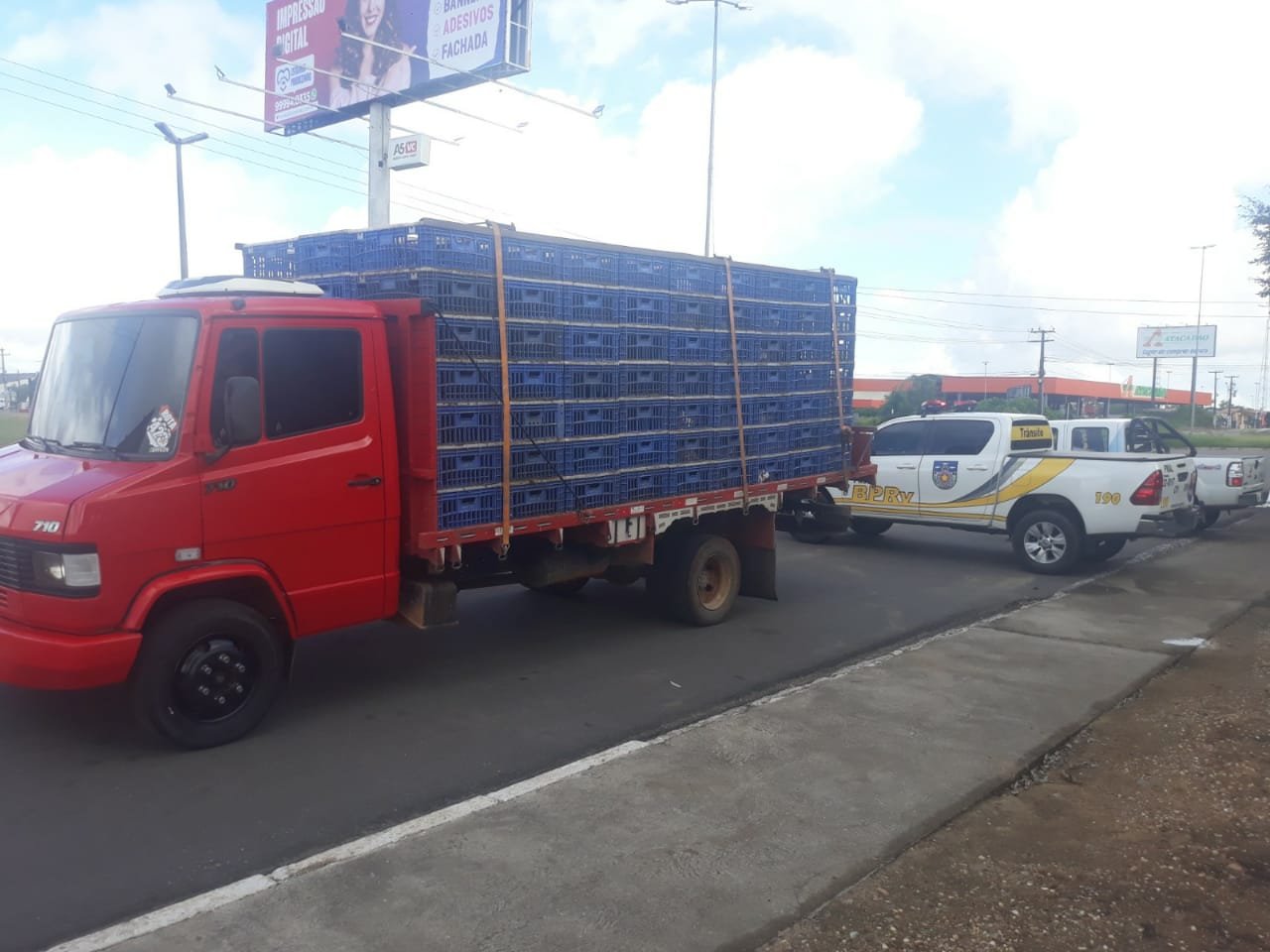 Fiscais flagram transporte irregular de frangos para Alagoas