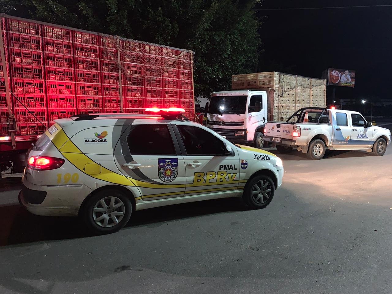 Operação apreende mais de 3 mil frangos sendo transportados irregularmente