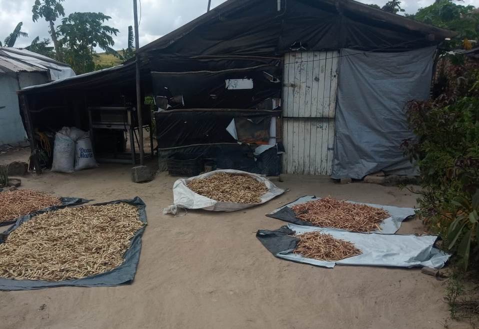 Acampamento São José: 17 anos de resistência nas Terras de Atalaia