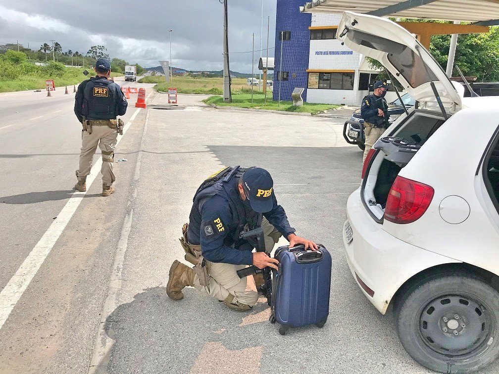 Operação é encerrada com 35 prisões e mais de 500kg de maconha apreendidos em AL, BA e PE