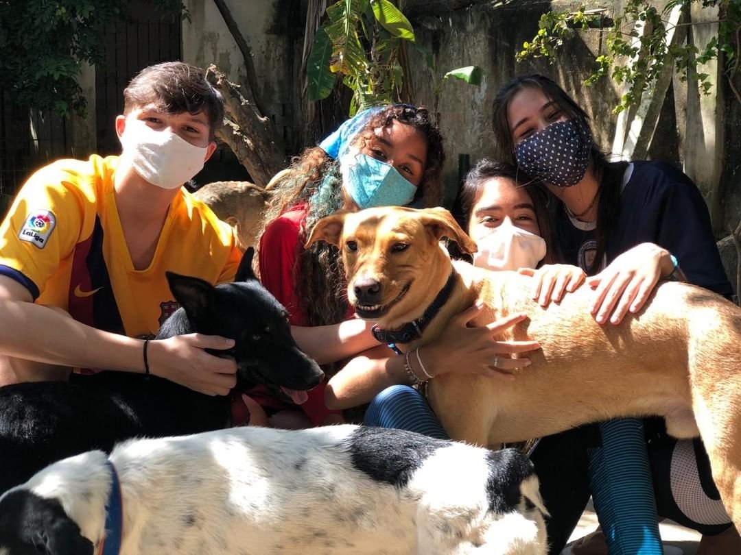 Com o aumento do abandono de animais, abrigos precisam de ajuda