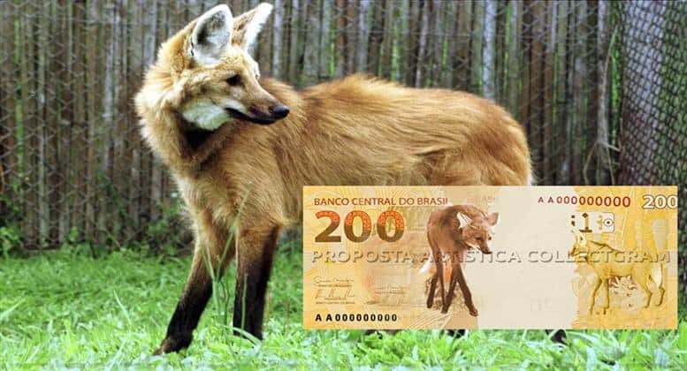 Cédula de R$ 200 entra em circulação hoje