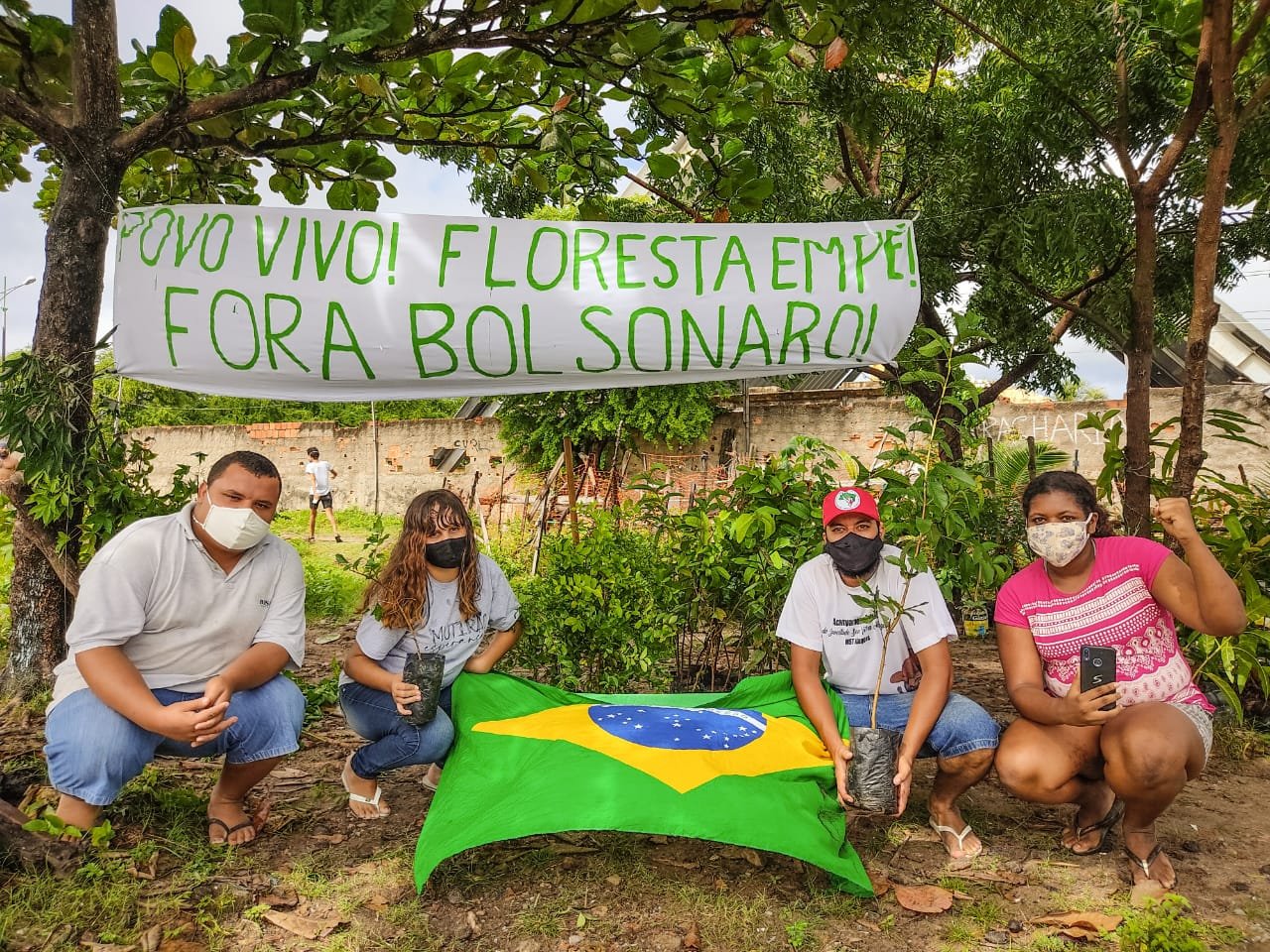 Mudas plantadas na comunidade da Muvuca, em Maceió (AL), no Dia Mundial do Meio Ambiente.