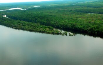 Cientistas da Bolívia tentam desvendar mistérios do boto cor-de-rosa Pescadores que antes caçavam os botos se unem aos pesquisadores