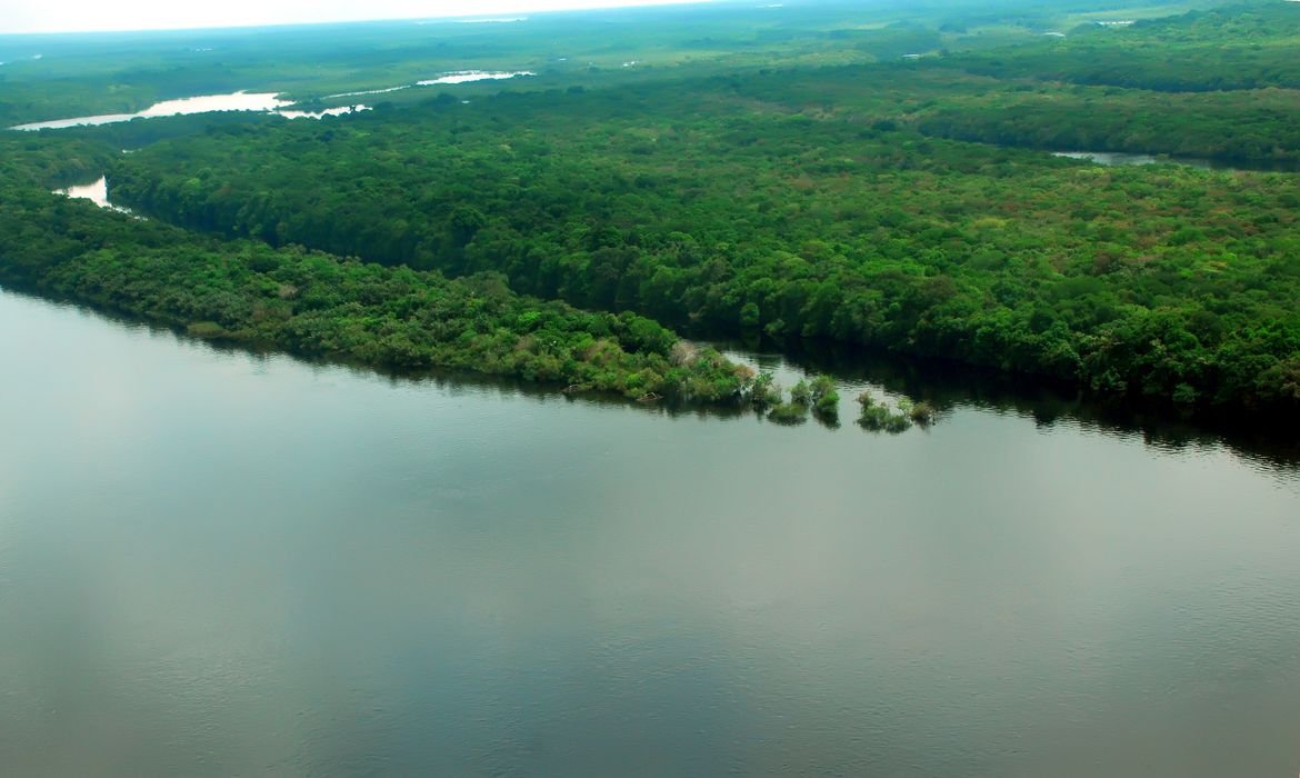 Cientistas da Bolívia tentam desvendar mistérios do boto cor-de-rosa