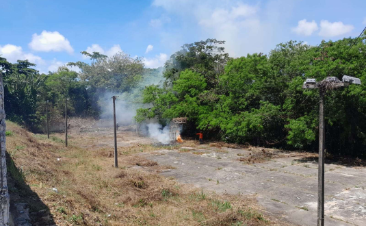 Flagrante mostra desmatamento em horto florestal na Serraria; Prefeitura nega ter autorizado realização de obras no local