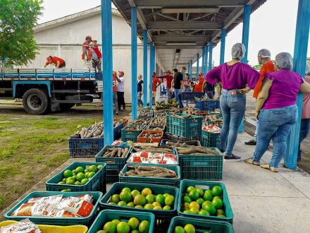 Chuvas: MST doa 3 toneladas de alimentos para famílias desabrigadas em Atalaia
