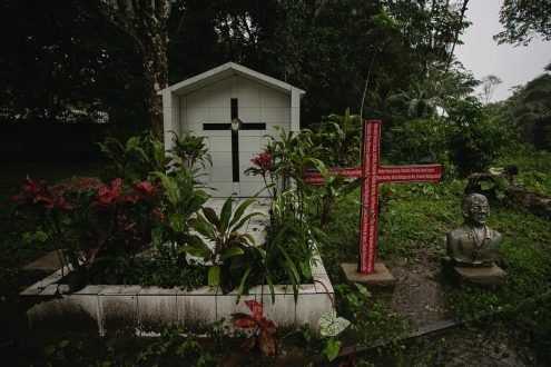 O que é o “consórcio da morte” e por que ele persiste no Xingu