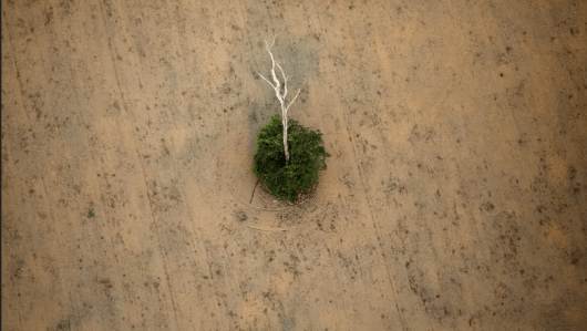 No campo brasileiro, a agricultura da morte