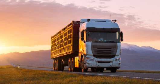 Transportes: Setembro tem sido desafiador para o setor
