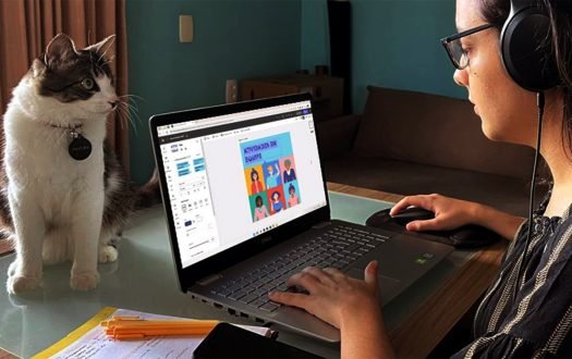 Brancos e com ensino superior: país tinha 7,4 milhões no teletrabalho em 2022