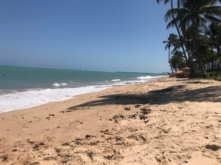 Preservação ambiental mobiliza moradores contra prédio de 20 andares na praia da Garça Torta