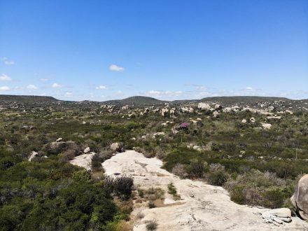 Consórcio Nordeste quer criar Fundo da Caatinga para captar recursos no exterior