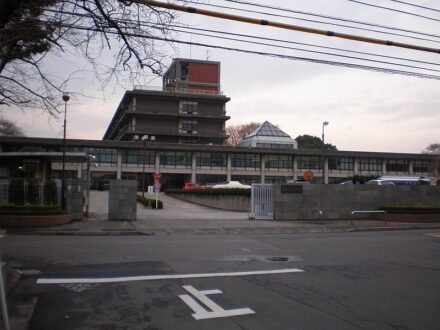 “Trem da alegria” em Tóquio: prefeitura manda servidores ao Japão pagando R$ 16 mil em diárias