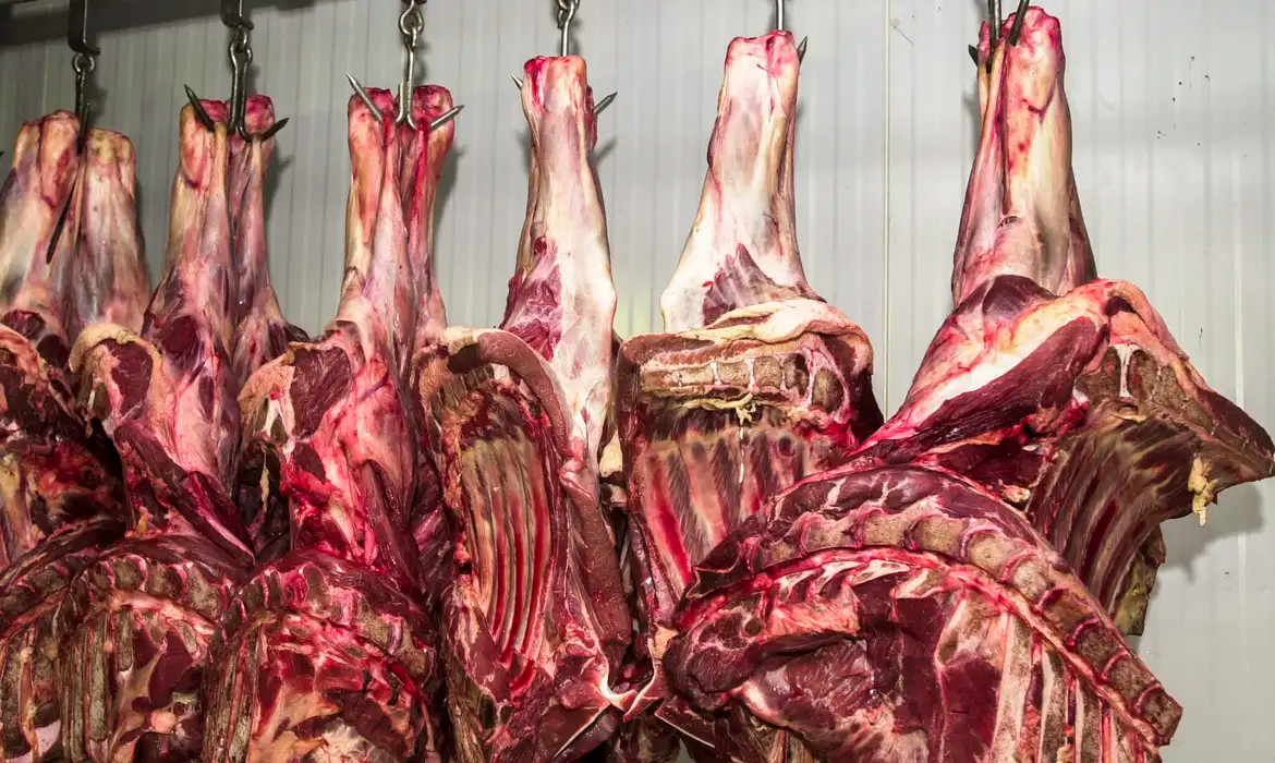 carne