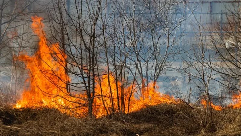 Queimadas no Nordeste devastam área de 21 milhões de hectares em cinco anos