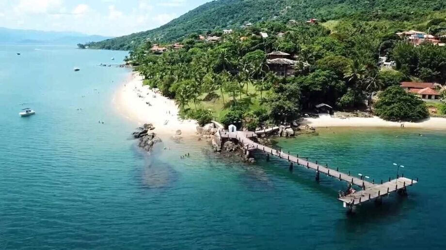 Litoral brasileiro tem praia perfeita para nadar com tartarugas e ver baleias