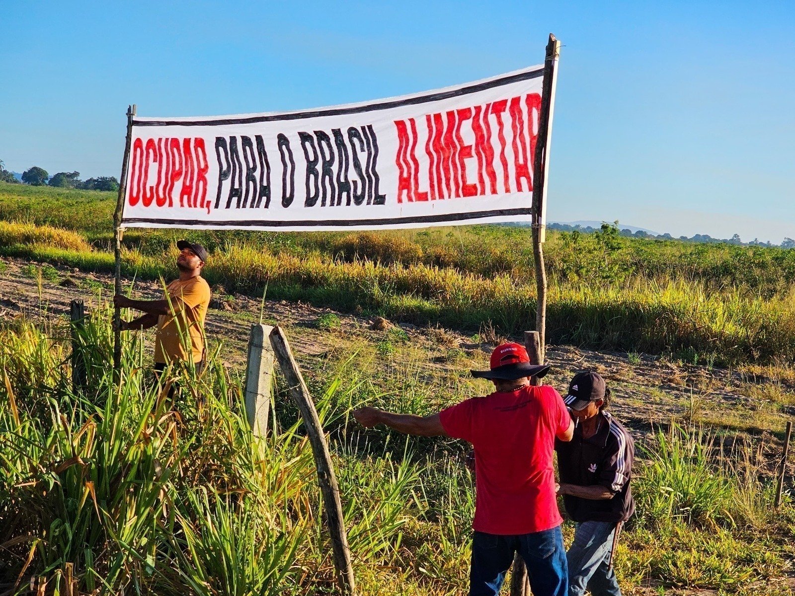MST ocupa fazenda improdutiva no Agreste de Alagoas neste sábado (26)