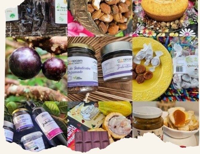 Alagostoso: sabores da sociobiodiversidade alagoana em destaque