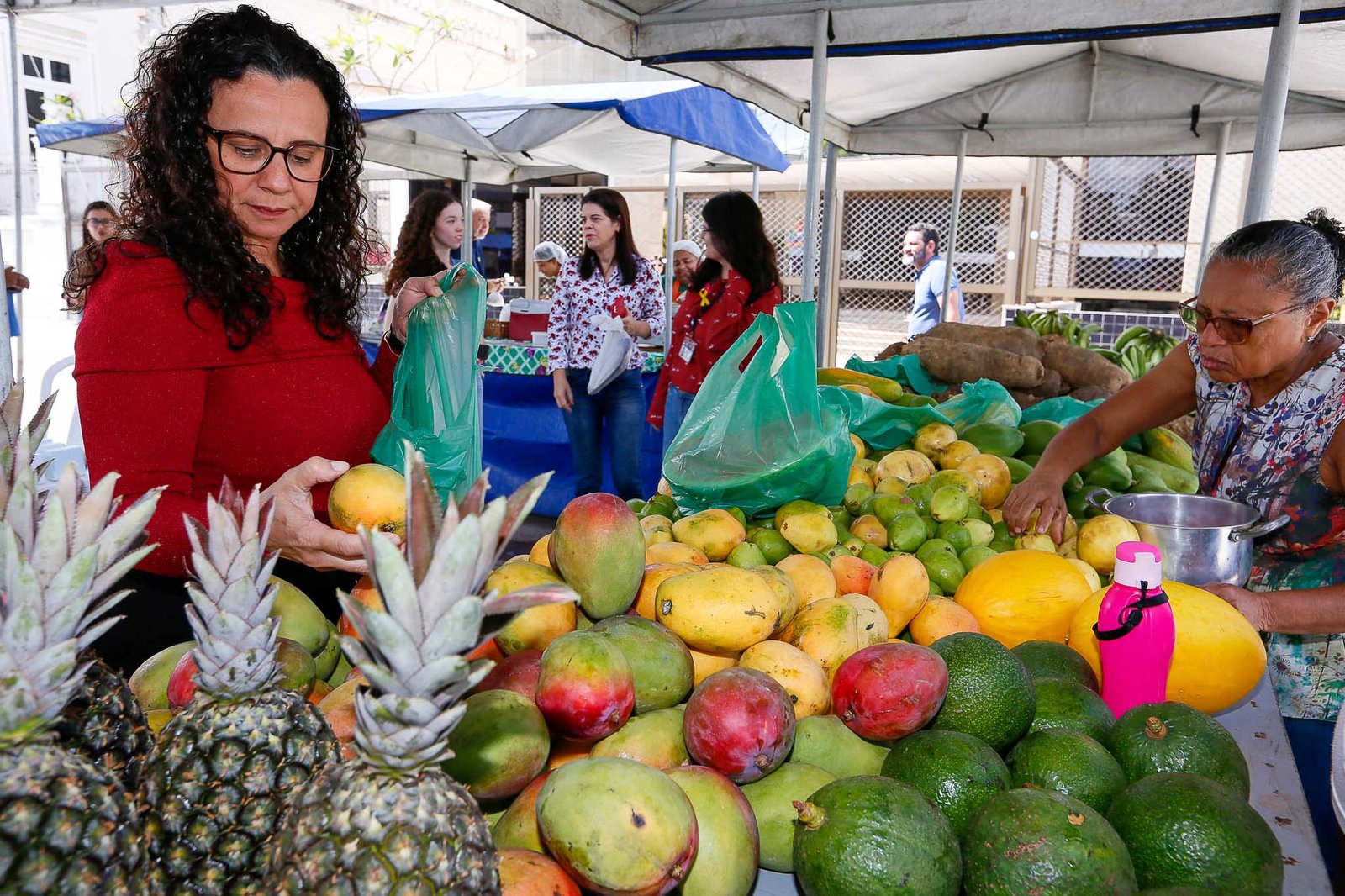 TJAL retoma feira agroecológica na próxima quarta-feira (23)