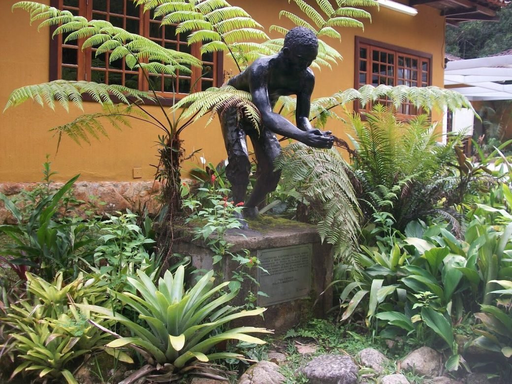 A história dos negros escravizados que replantaram a Floresta da Tijuca