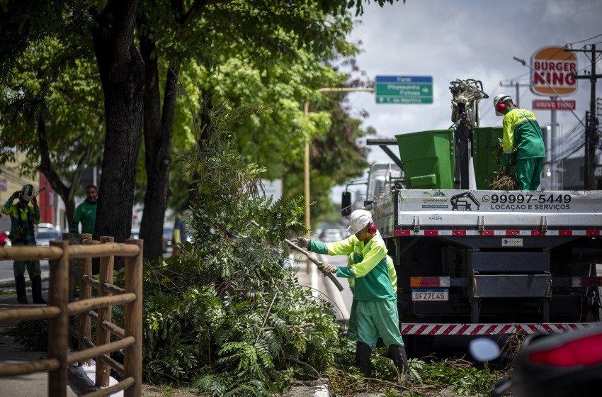 Moradores de Maceió podem solicitar poda de árvores com risco de queda