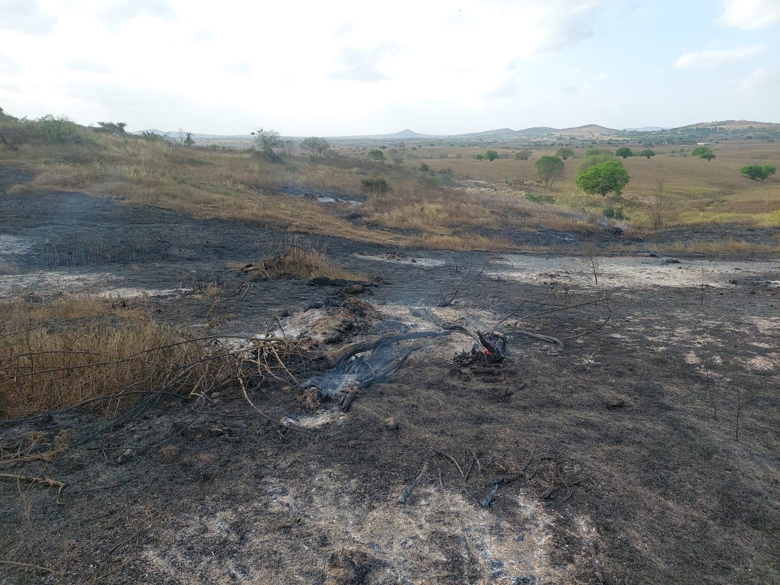 IMA alerta sobre aumento de queimadas em Alagoas