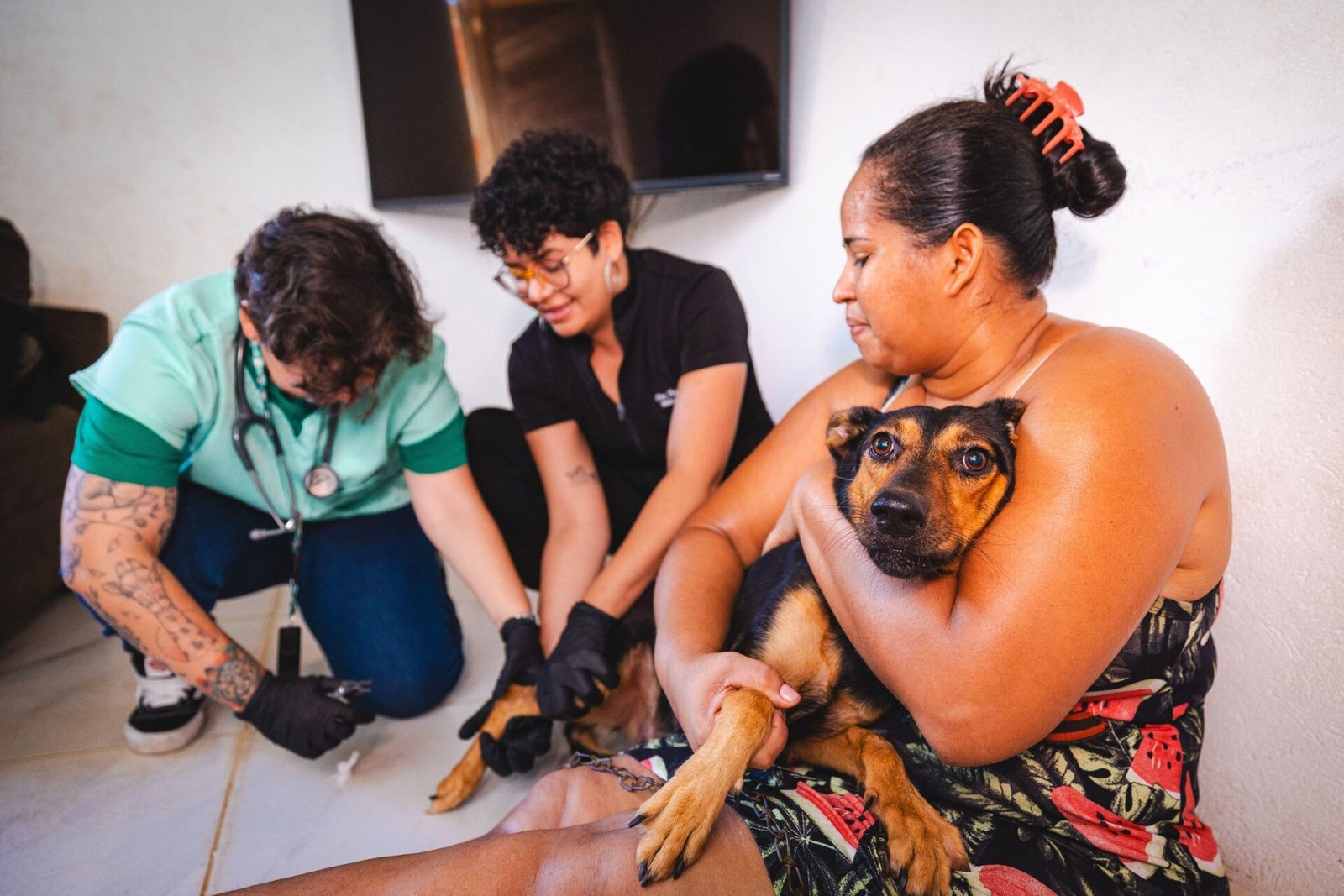 Atendimento veterinário gratuito em domicílio leva cuidado a quem mais precisa em Maceió