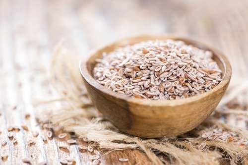 Psyllium é bom para emagrecer? Entenda os efeitos da fibra no organismo