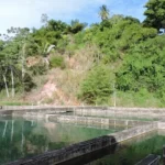 Maceió: Pressão urbana e risco hídrico!