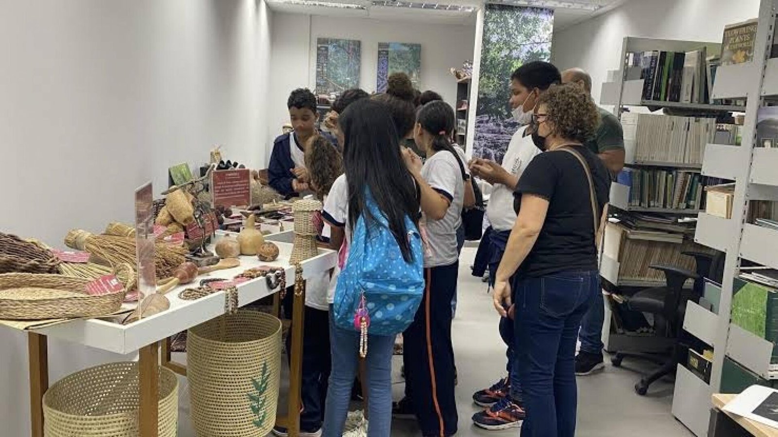 IMA oferece oficina gratuita sobre práticas de herbário