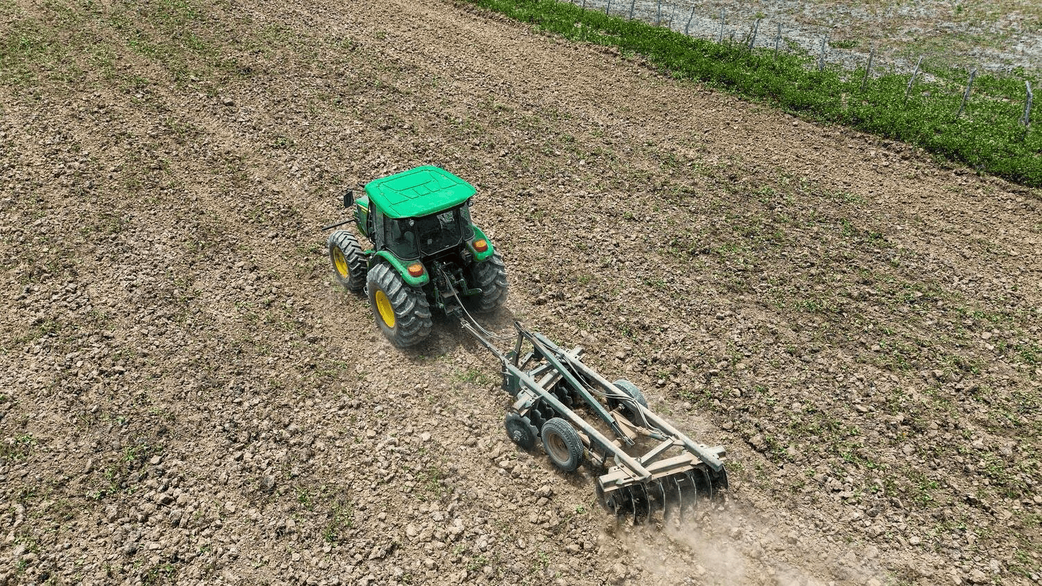 Penedo retoma cultivo de arroz após 20 anos e projeta safra de 500 toneladas