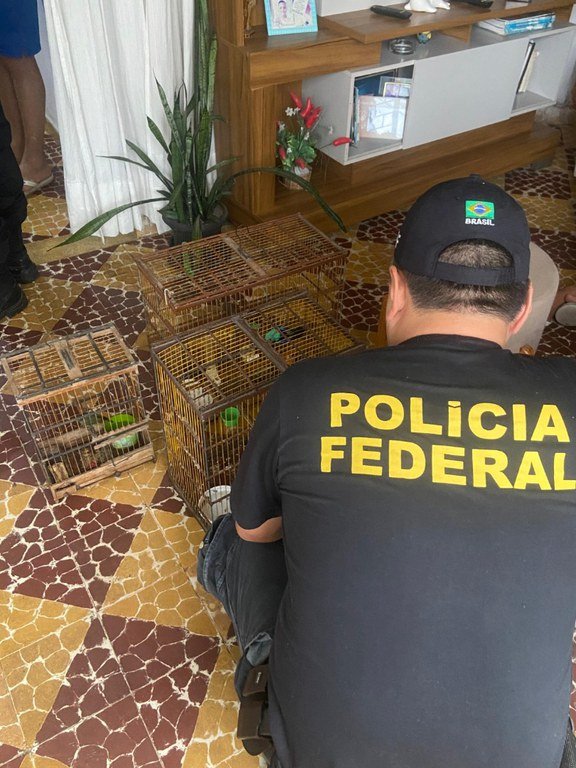 PF investiga sumiço de papagaios ameaçados de extinção em zoológico de Alagoas