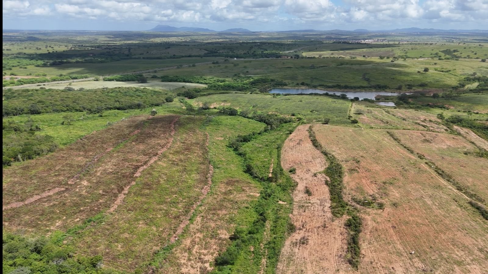 FPI alerta produtores sobre riscos do desmatamento irregular e importância da regularização ambiental