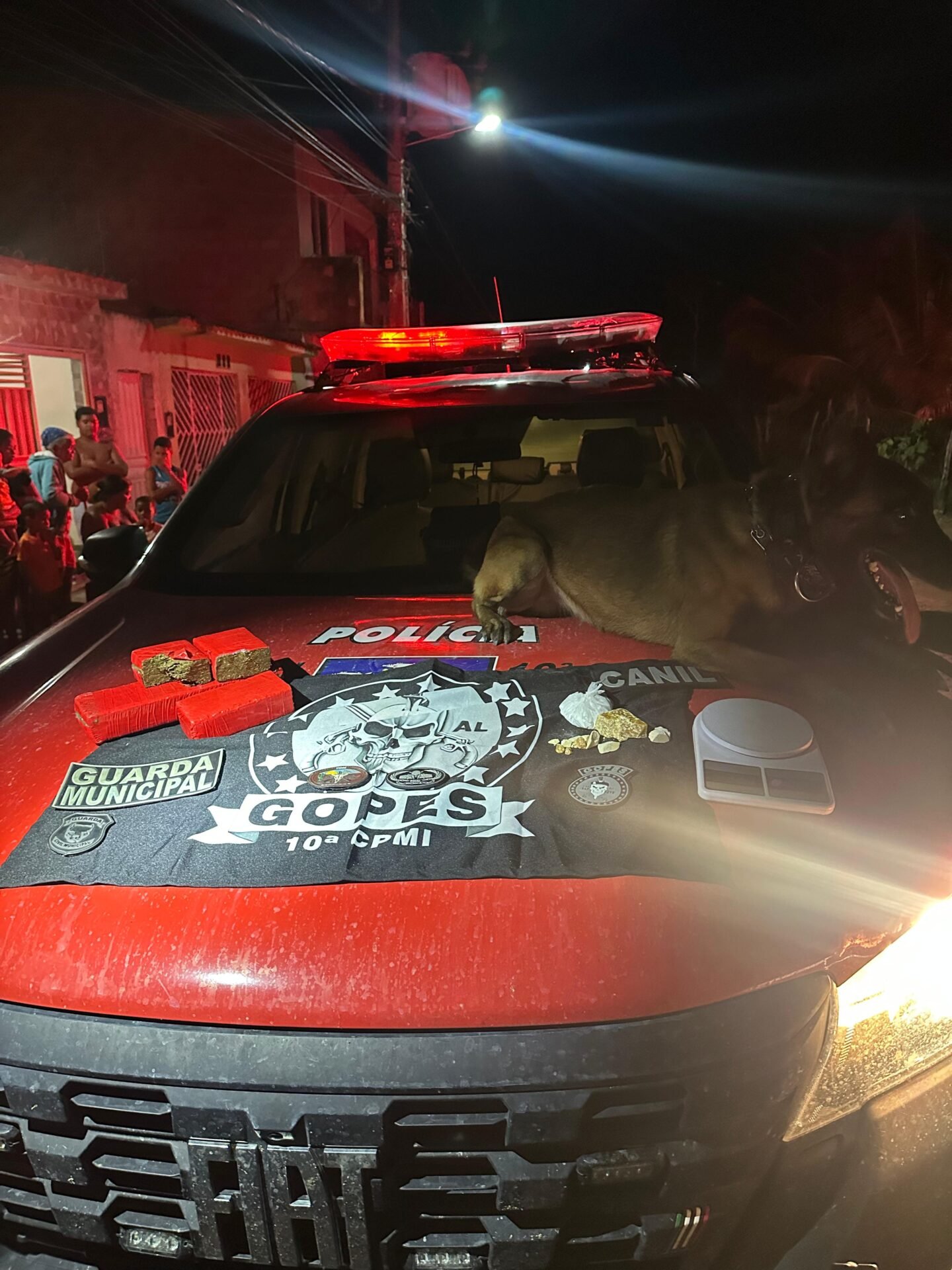 Polícia Militar prende chefe de facção criminosa em Campo Alegre