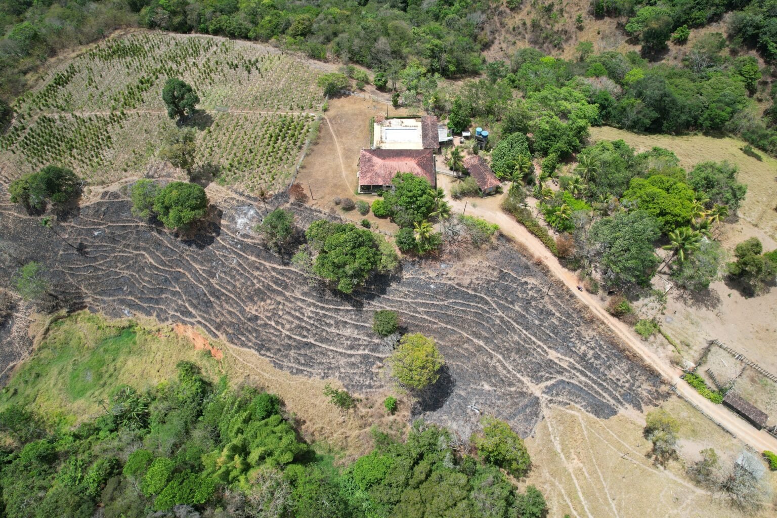 IMA alerta para riscos do período seco e reforça trabalho de conscientização sobre queimadas irregulares