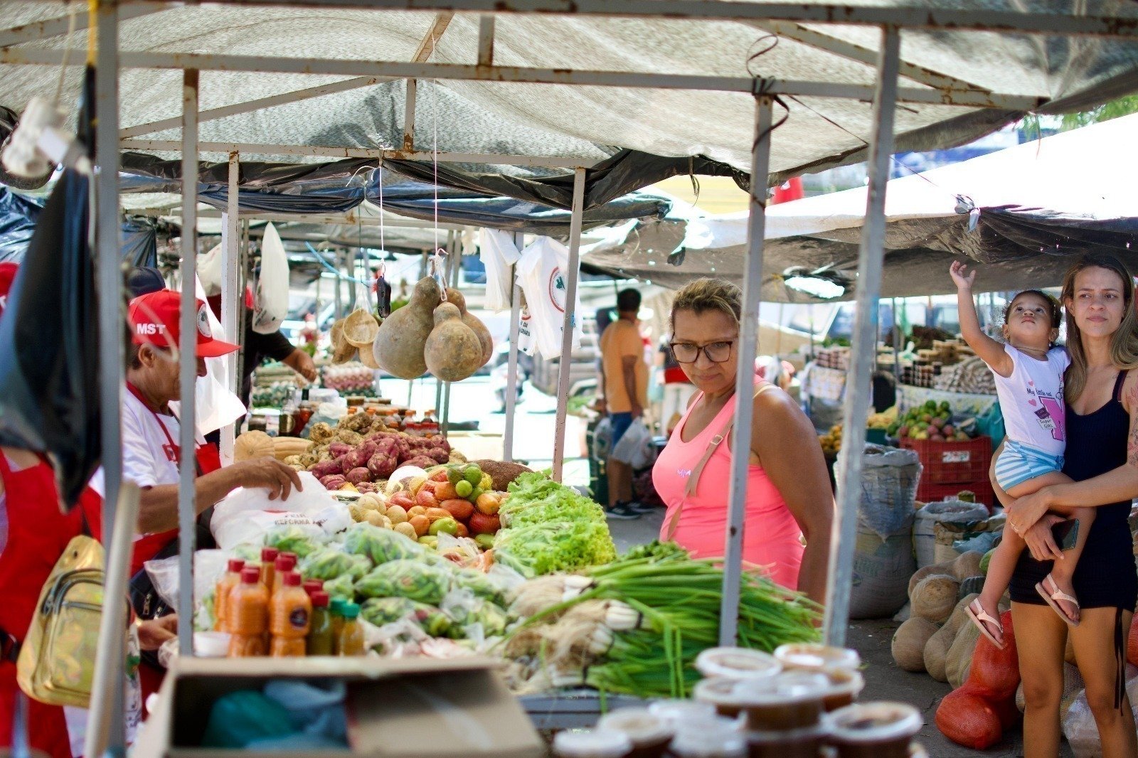 Com a expectativa de comercializar 350 toneladas de alimentos, MST realiza Feira em Maceió nesta quarta (3)