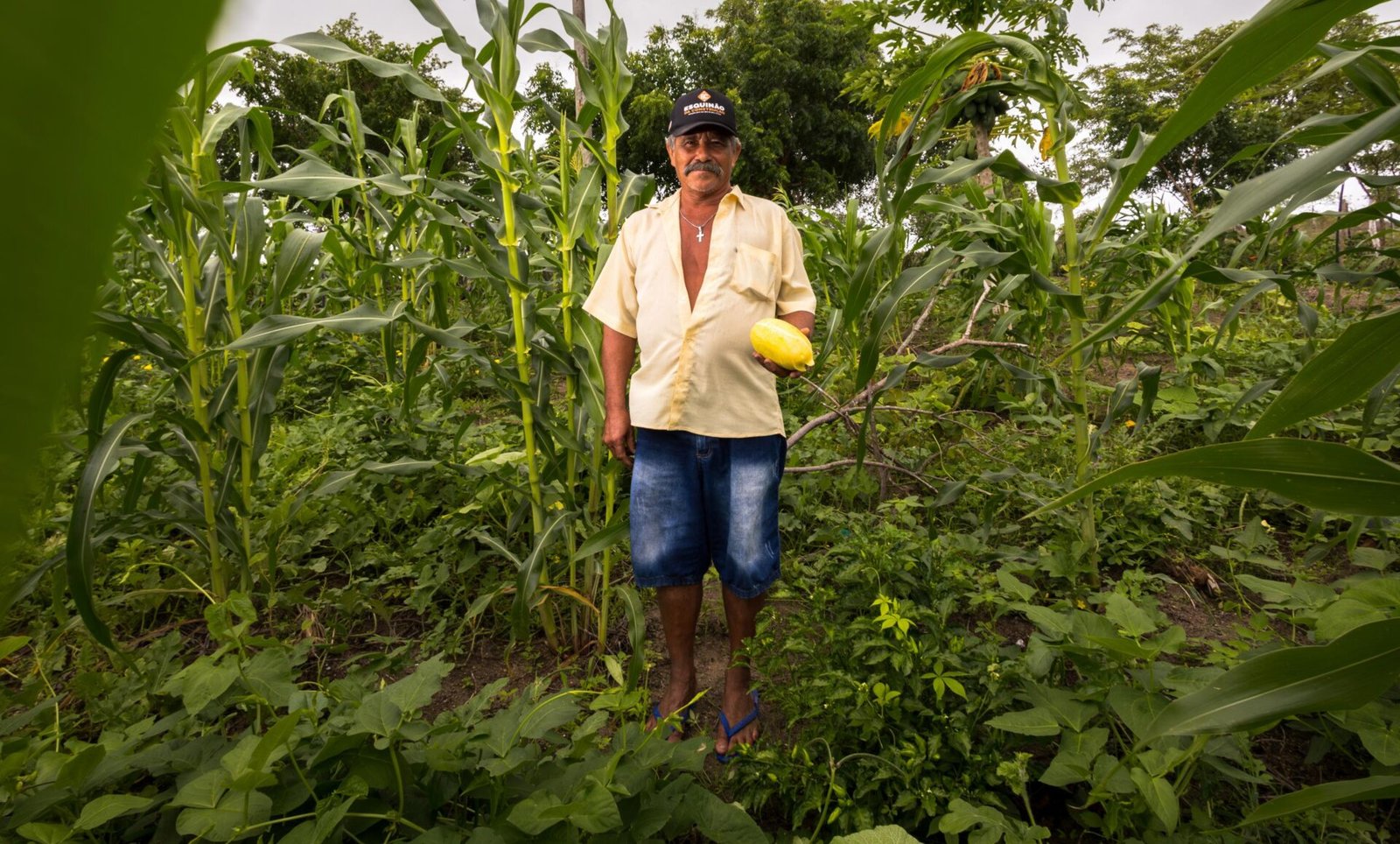 Agricultura de Alagoas bate recorde histórico e movimenta R$ 4,1 bilhões em 2024
