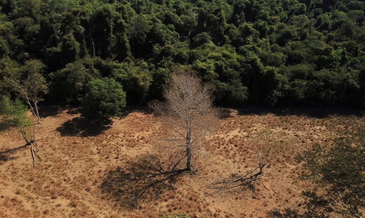 Estudo aponta que Brasil pode dobrar produção de biocombustíveis até 2050 sem desmatamento