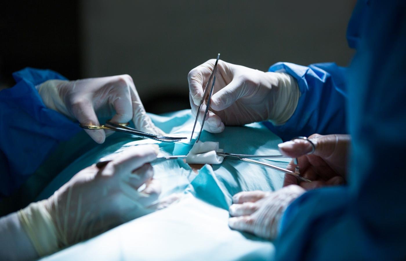 Transplante de fígado: 2,3 mil pessoas aguardam cirurgia no Brasil