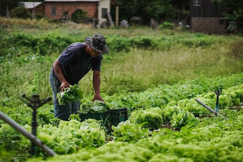 Agroecologia: o novo mundo em gestação