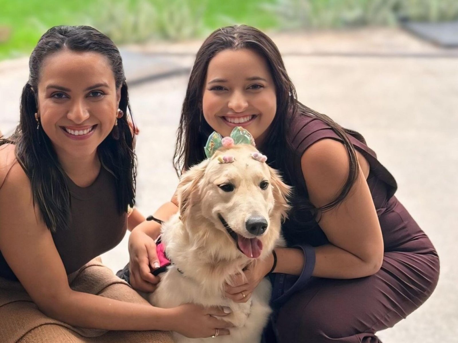 Afeto que transforma: egressas da Uncisal aplicam terapia com cães na Fonoaudiologia em Alagoas