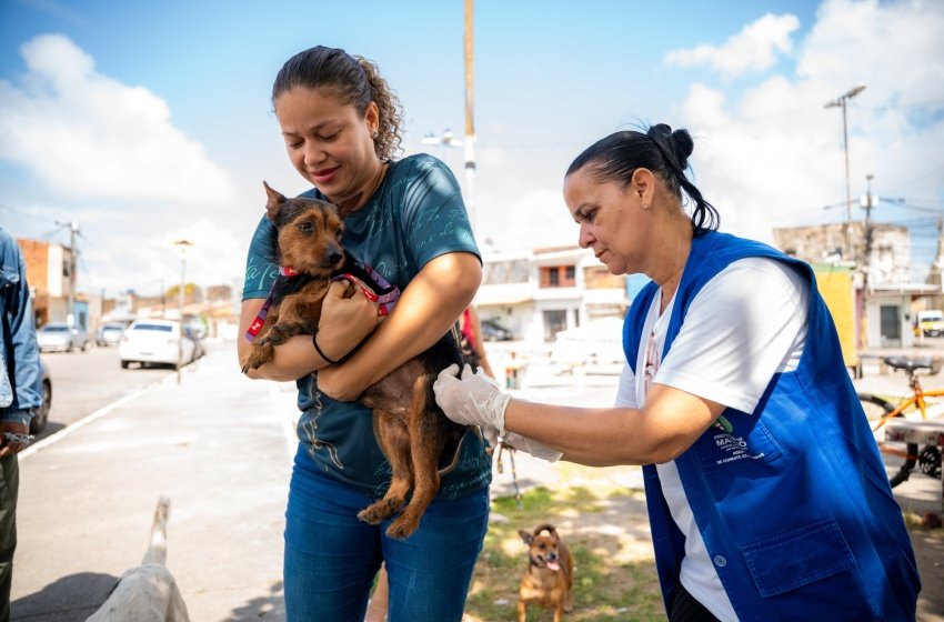 Vacinação antirrábica em Maceió entra na reta final com expectativa de ampliar cobertura