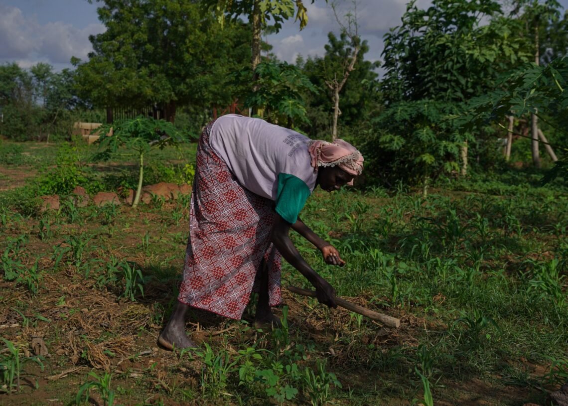 Agroecologia impulsiona revolução agrícola e resgata legado de Sankara em Burkina Faso