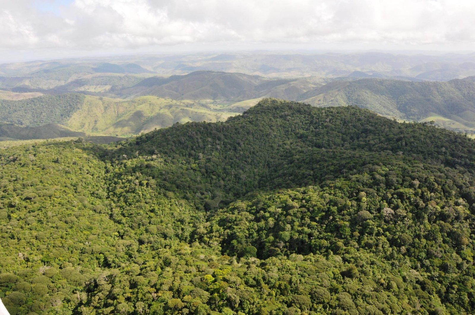 Alagoas registra o menor índice de desmatamento do Nordeste