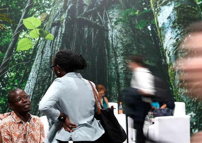 COP 30 em Belém pode incluir pela primeira vez direitos dos afrodescendentes em documentos climáticos