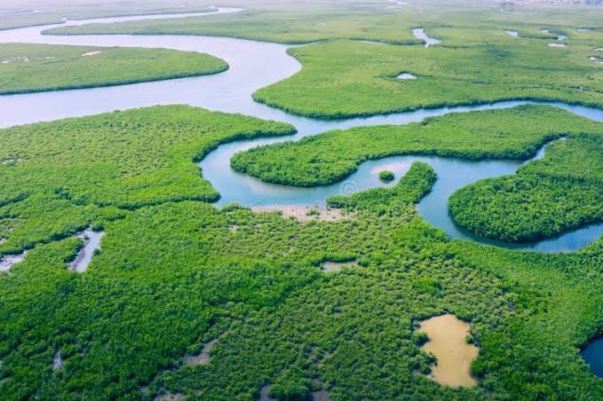 O que a COP30 pode mudar para o Brasil: economia verde, Amazônia protegida e novos desafios globais